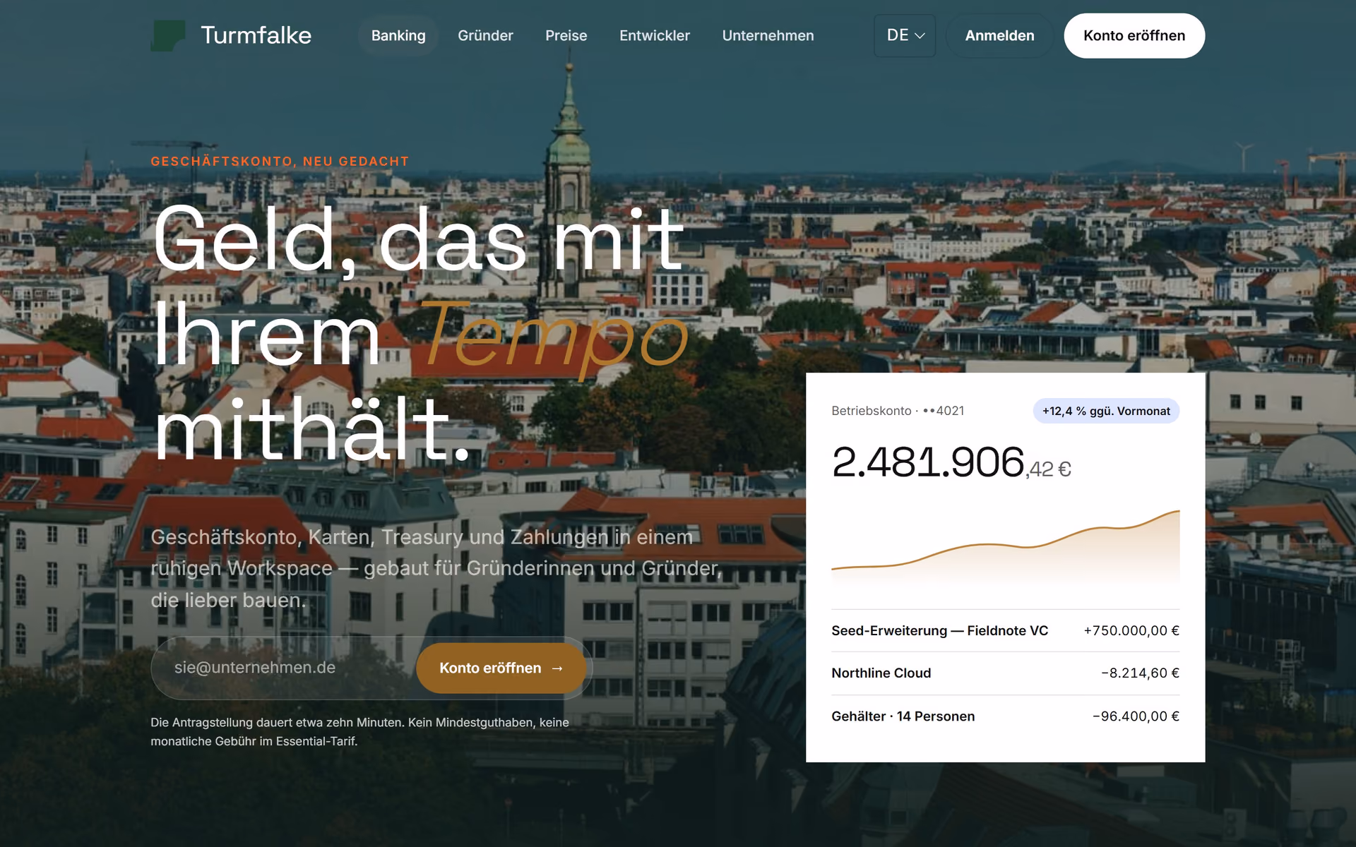 Turmfalke Deutschland: Startseite und zentrale Seiten