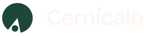 Cernícalo España: Adaptación de marca
