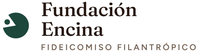 Fundación Encina España: Adaptación de marca